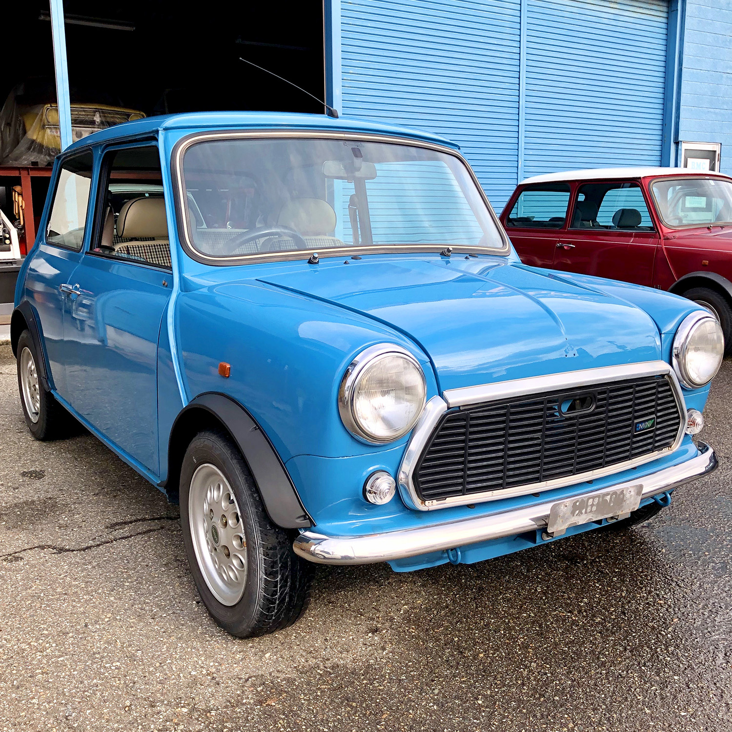 mini