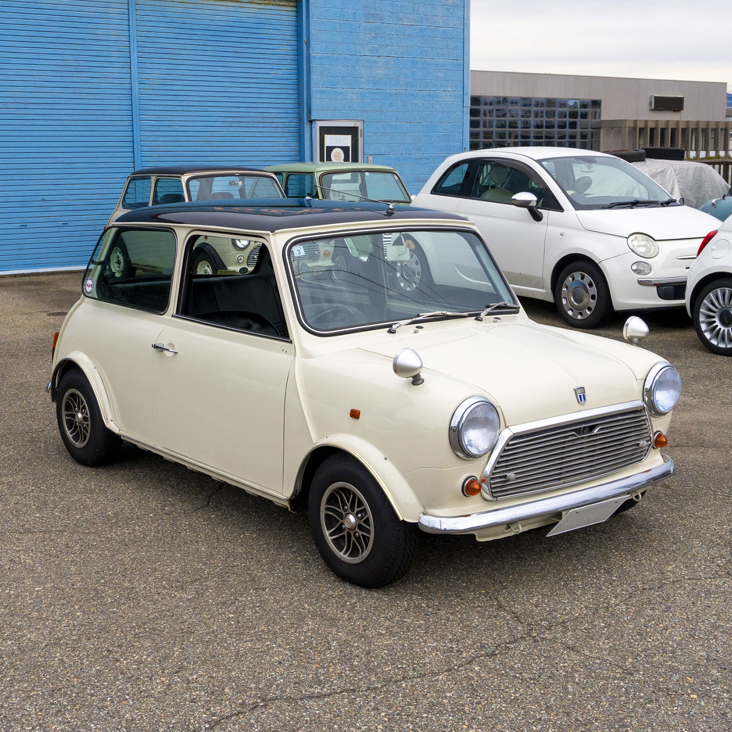 mini